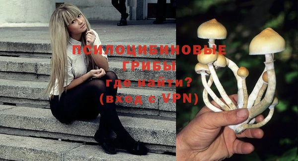 молекула духа Алзамай