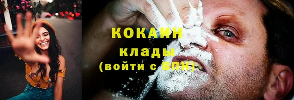 молекула духа Алзамай