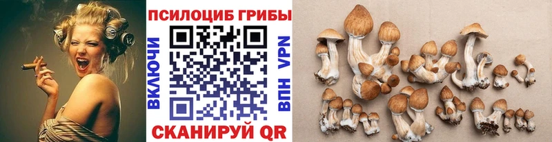 Псилоцибиновые грибы мицелий  MEGA маркетплейс  Рыбное 